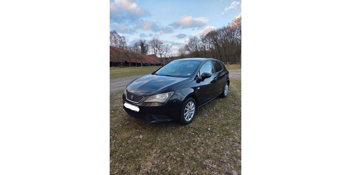 Seat Ibiza 255.441 km 2.500 &euro; Vierden 27419