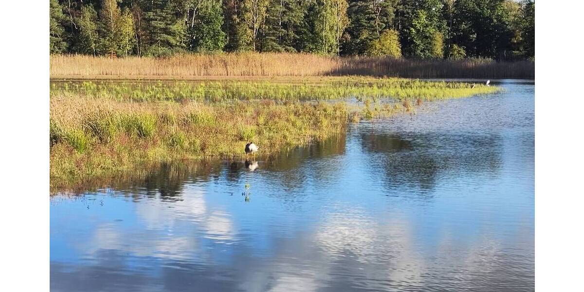 Grundstück Burgwedel Kleinburgwedel - 99.000&euro; | Angebot:22920882