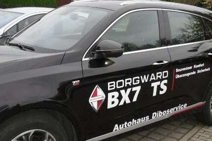 Borgward BX7 69.500 km 24.999 &euro; Planebruch / OT Damelang 14822