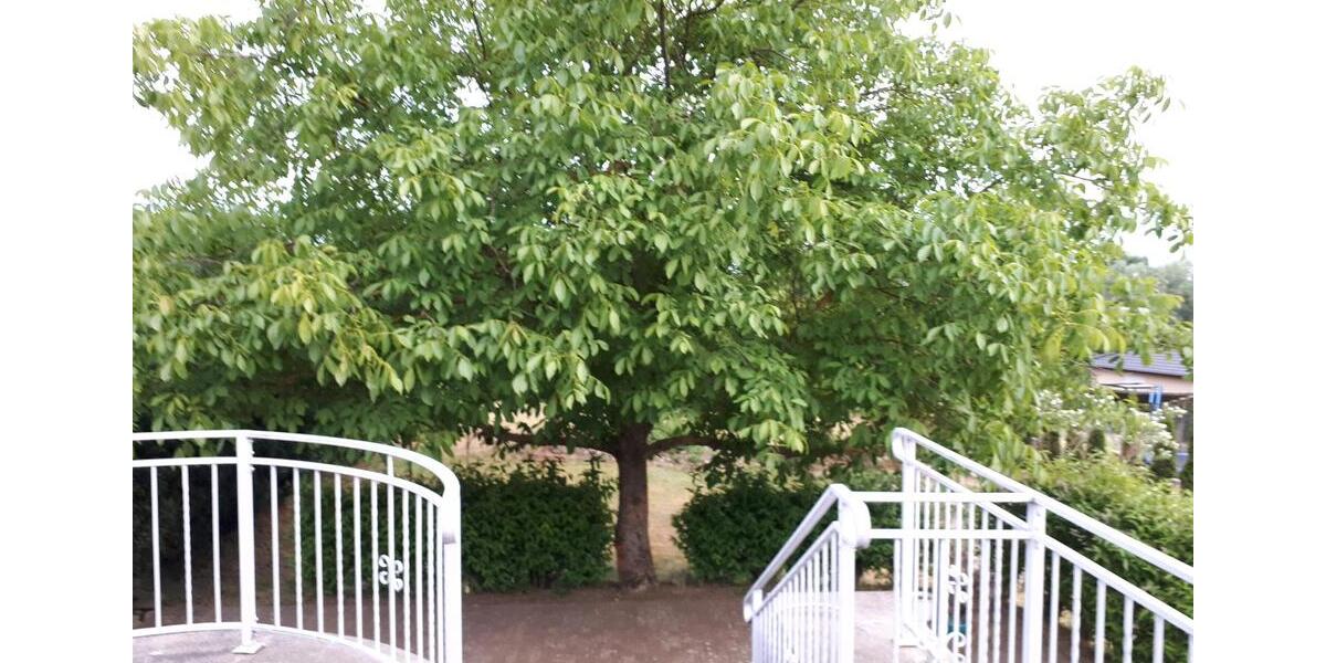 Einfamilienhaus Löcknitz - 3 Zimmer, 110 m&sup2;, 145.000&euro; | Angebot:27136684