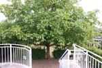 Einfamilienhaus Löcknitz - 3 Zimmer, 110 m&sup2;, 145.000&euro; | Angebot:27136684