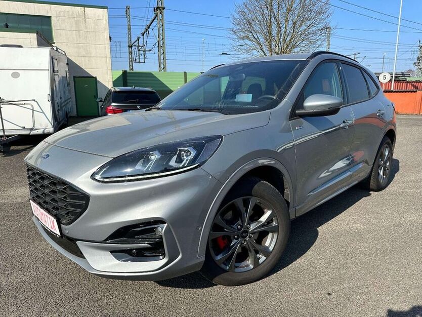 Kuga