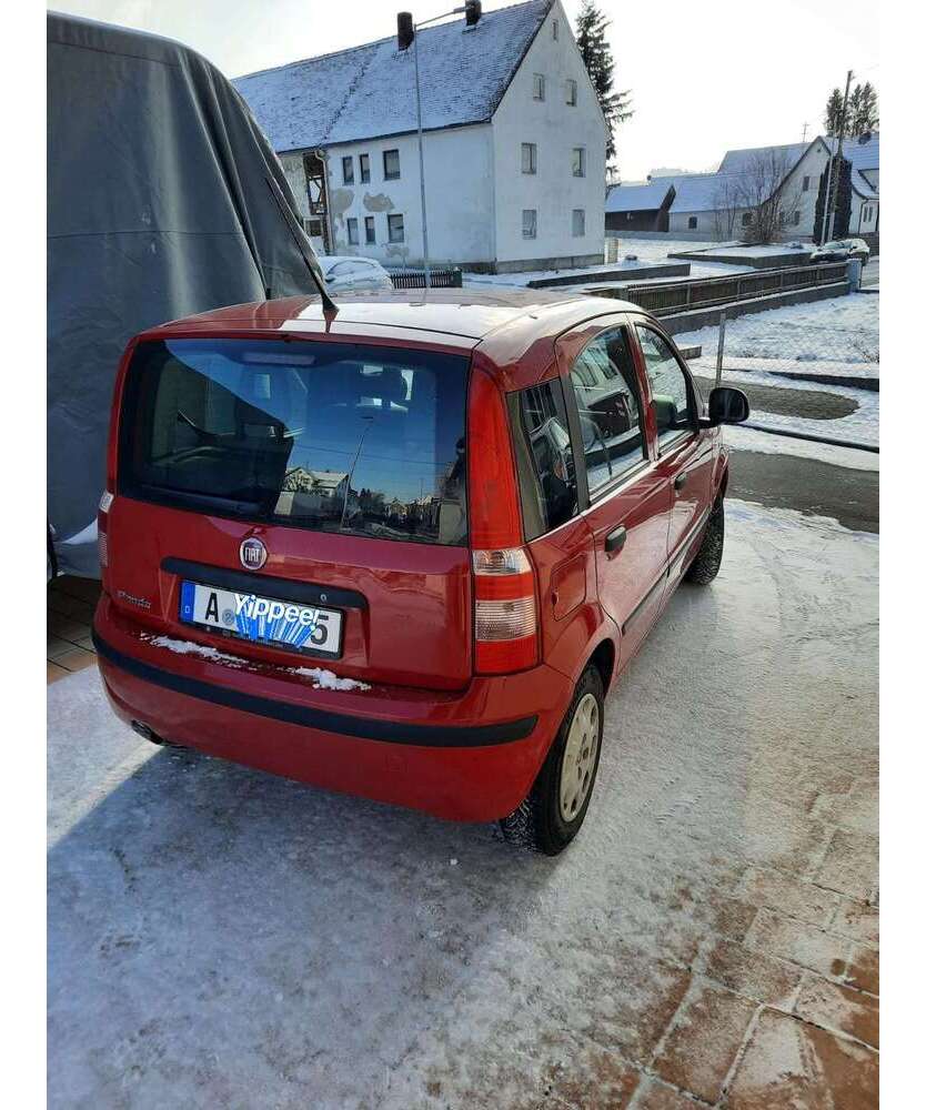 Panda