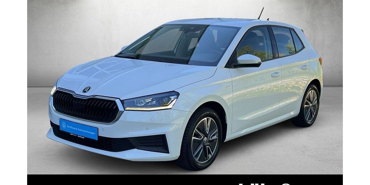 Skoda Fabia 16.197 km 15.970 &euro; Mainz 55131