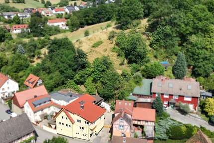 Haus Heppenheim (Bergstraße) - 8 Zimmer, 245 m&sup2;, 698.000&euro; | Angebot:25522403