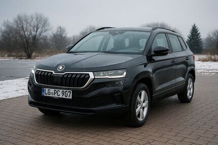 Skoda Karoq 53.900 km 24.250 &euro; Barskamp 21354