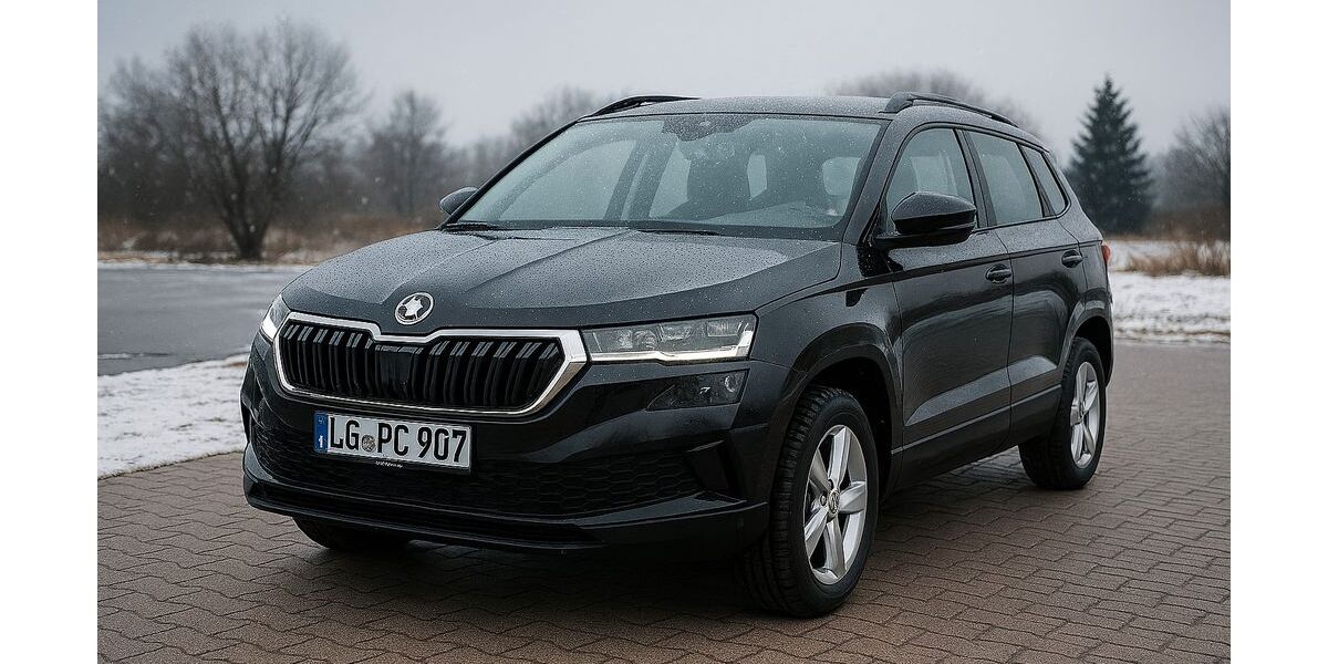 Skoda Karoq 53.900 km 24.250 &euro; Barskamp 21354