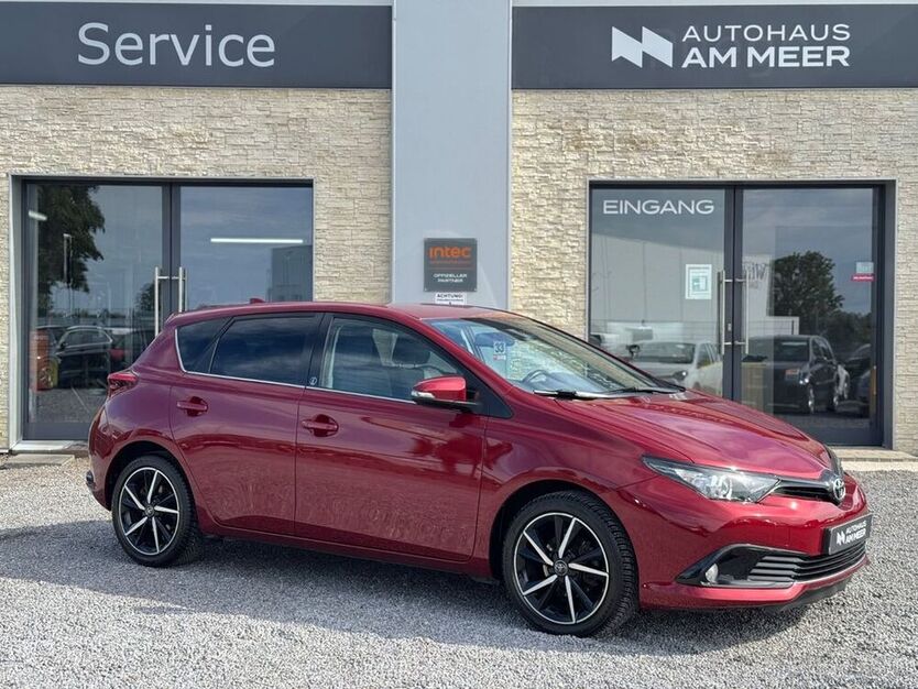 Auris