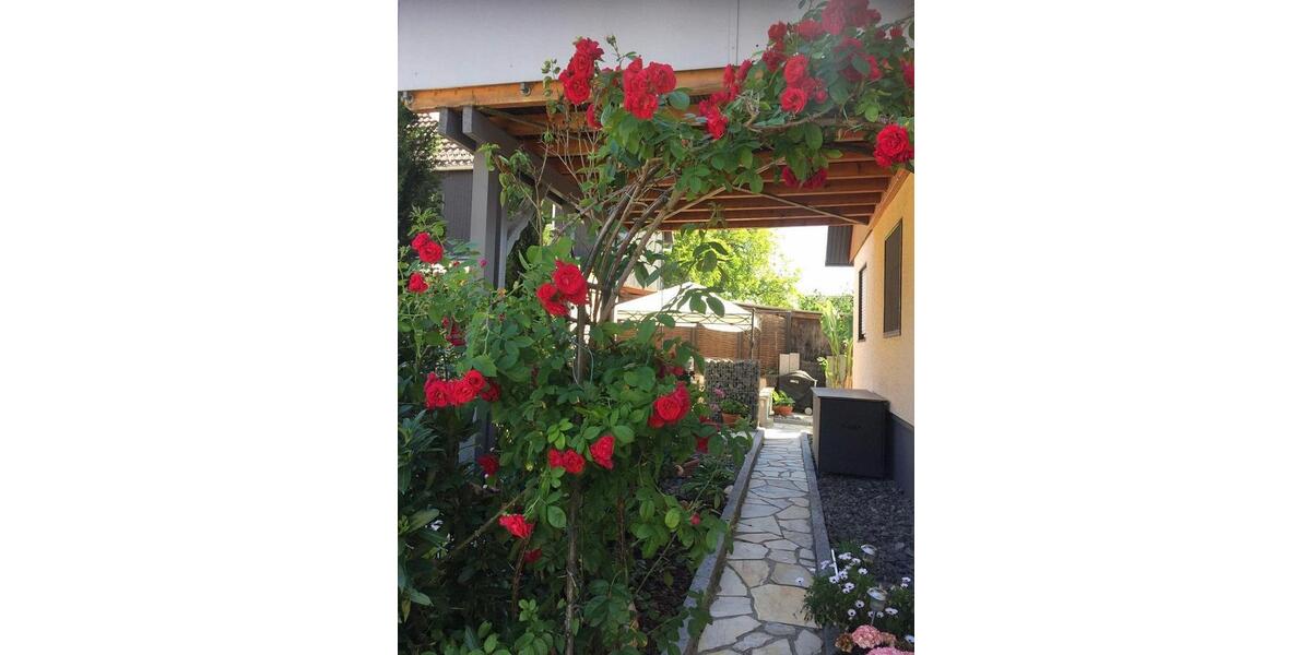 Erdgeschoßwohnung Ettenheim - 6.5 Zimmer, 144 m&sup2;, 389.000&euro; | Angebot:26207390