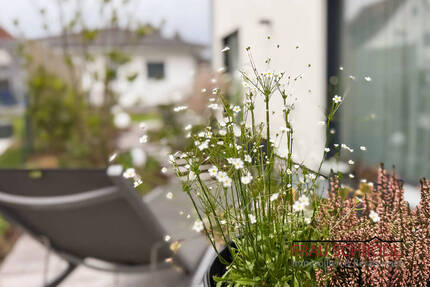 Haus Gottmadingen - 5 Zimmer, 156 m&sup2;, 879.000&euro; | Angebot:26064513