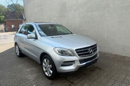 Mercedes ML 250