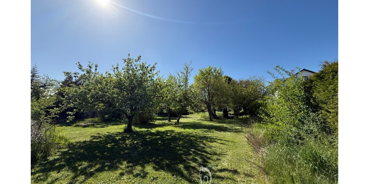 Sonniges Baugrundstück für Einfamilien-, oder Doppelhaus in einer der schönsten Lagen von Höchberg - Grundstück Höchberg | Angebot:26947539