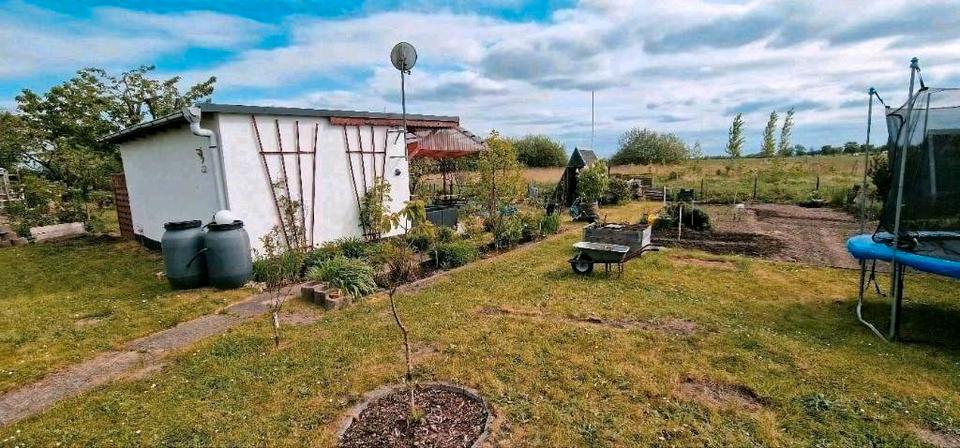Grundstück Rostock Evershagen - 7.800&euro; | Angebot:26131716