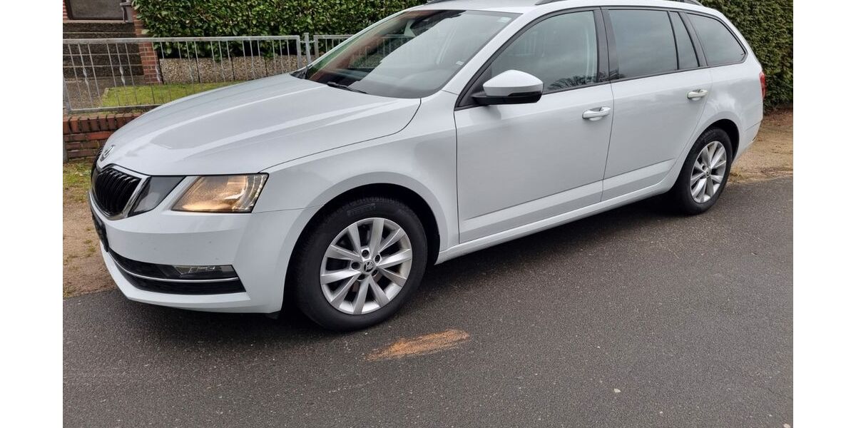 Skoda Octavia 315.230 km 9.950 &euro; Hamburg 22147