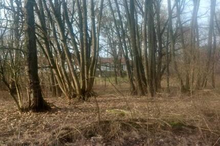 Grundstück Berlin Steglitz-Zehlendorf - 300&euro; | Angebot:25611890