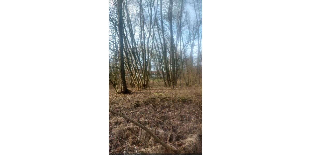 Grundstück Berlin Steglitz-Zehlendorf - 300&euro; | Angebot:25611890