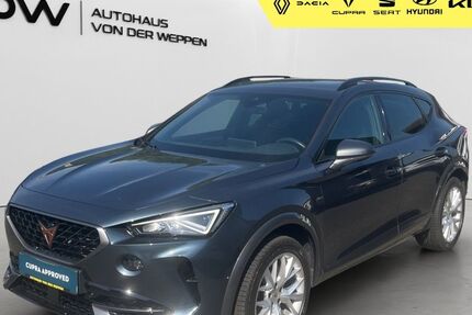 Cupra Formentor 61.200 km 25.280 &euro; Mosbach 74821