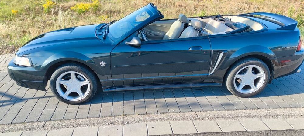Mustang