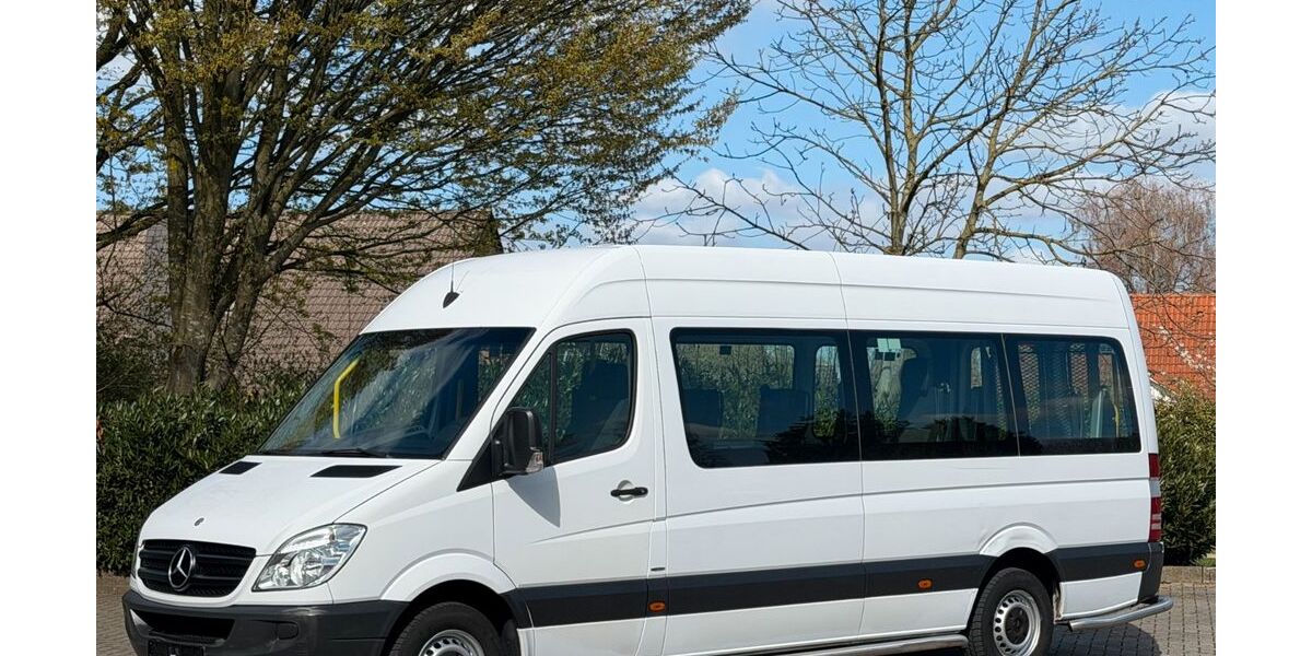 Mercedes-Benz Sprinter 259.695 km 12.971 &euro; Bad Bentheim 48455