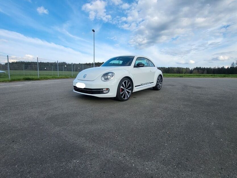 Beetle