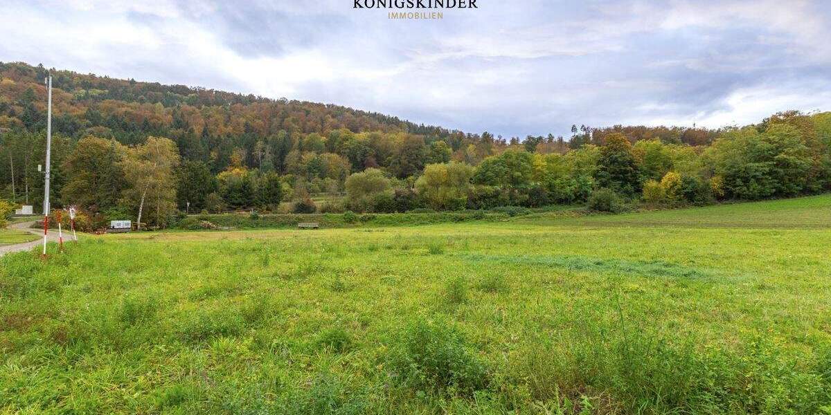 Grundstück Starzach Sulzau - 245.000&euro; | Angebot:25771588