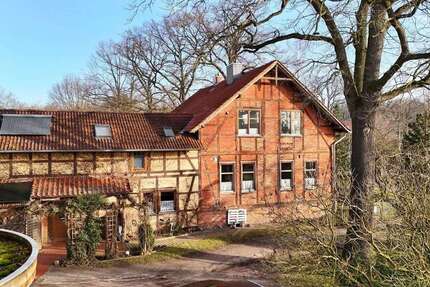 Haus Nienhagen - 10 Zimmer, 230 m&sup2;, 395.000&euro; | Angebot:25341386