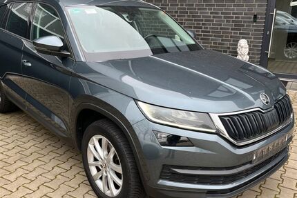 Skoda Kodiaq 195.000 km 15.946 &euro; Neuenhaus 49828