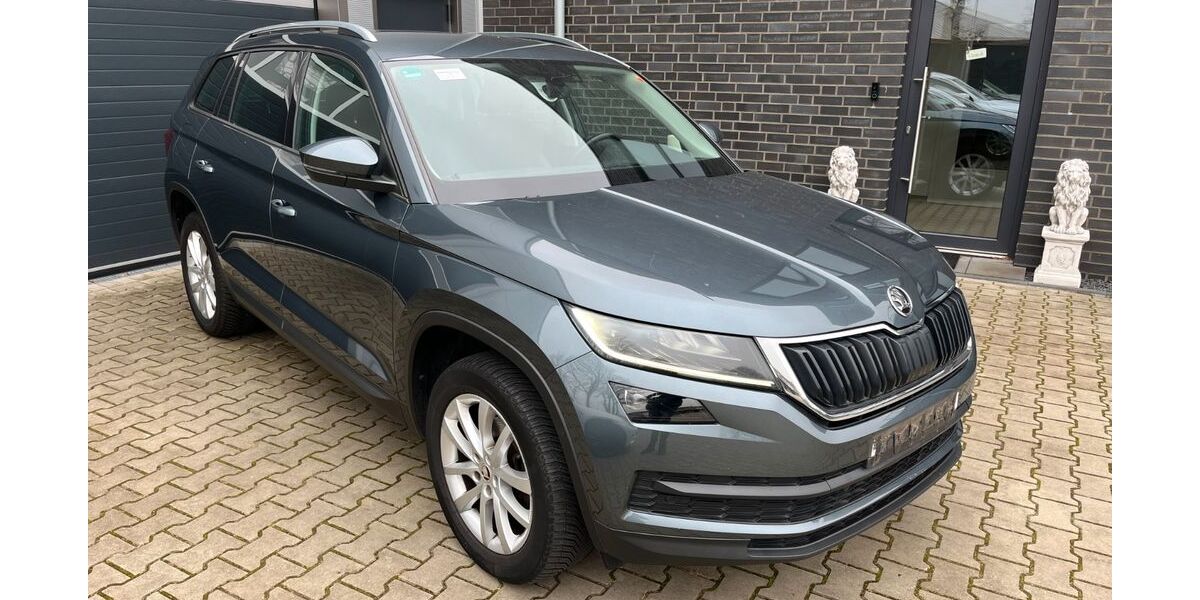 Skoda Kodiaq 195.000 km 15.946 &euro; Neuenhaus 49828