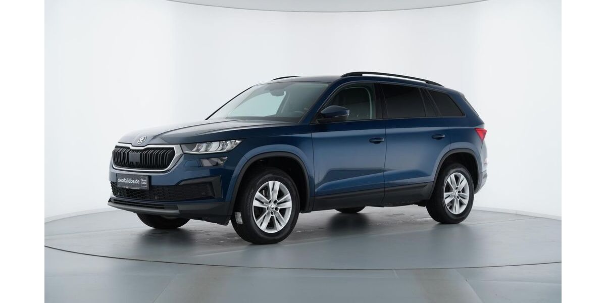 Skoda Kodiaq 181.924 km 19.889 &euro; Sangerhausen 06526
