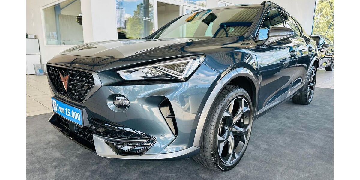 Cupra Formentor 31.380 km 30.480 &euro; Wetter 58300