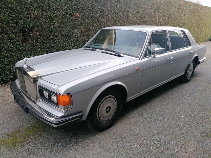 Silver Spur