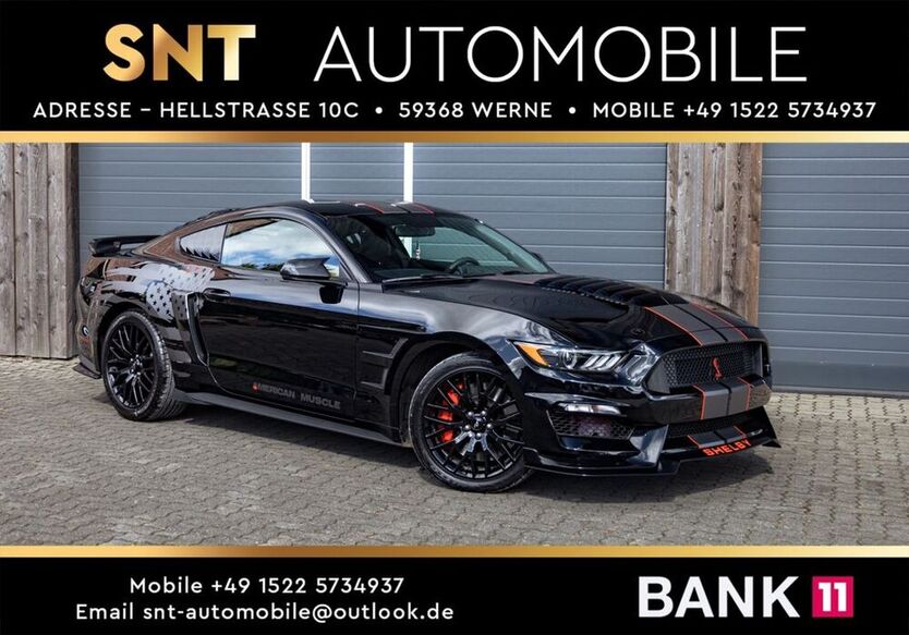 Mustang