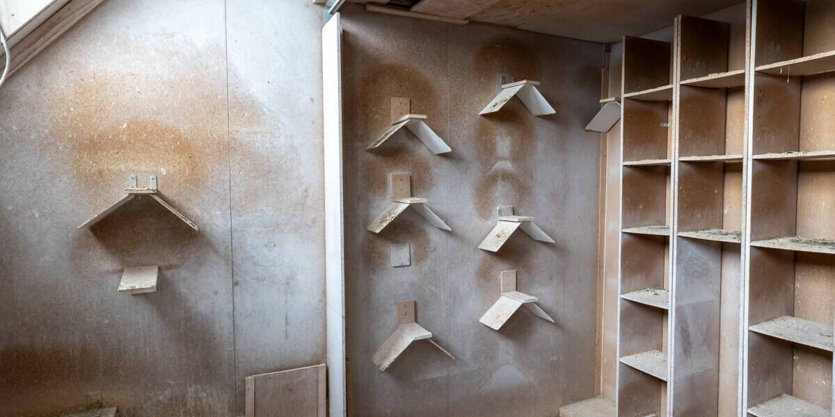 Etagenwohnung Ganderkesee Neuenlande - 6 Zimmer, 145 m&sup2;, 149.000&euro; | Angebot:25846192