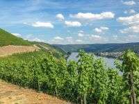 Spezialgewerbe in Bingen am Rhein 1.400.000 €