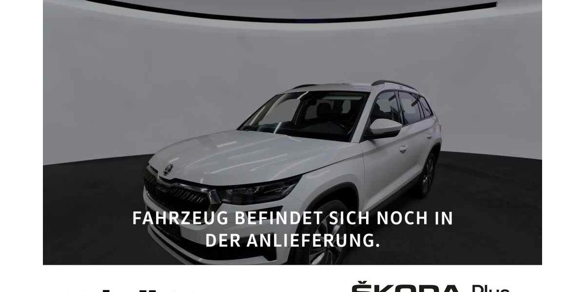 Skoda Kodiaq 95.000 km 28.980 &euro; Würzburg 97084
