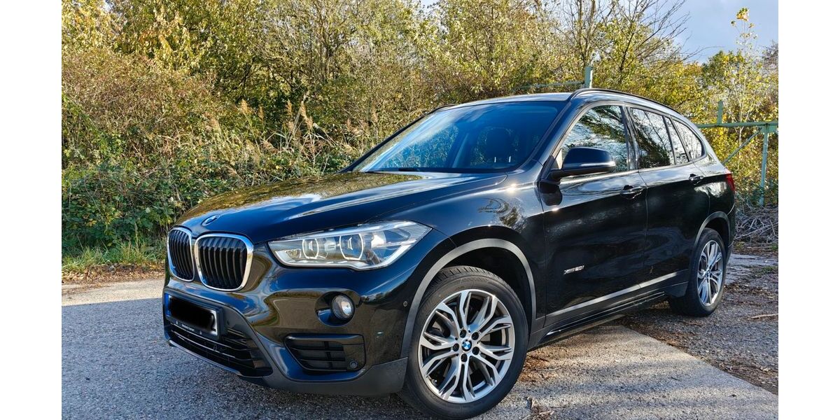 BMW X1 38.500 km 22.800 &euro; Römerberg 67354