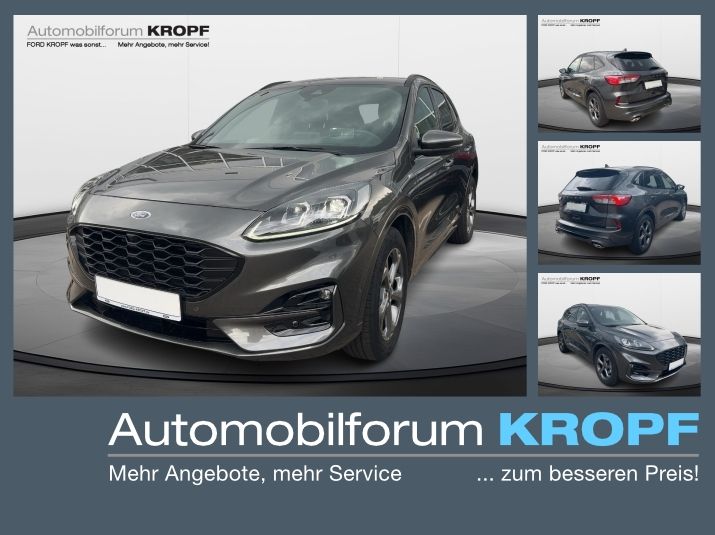 Kuga