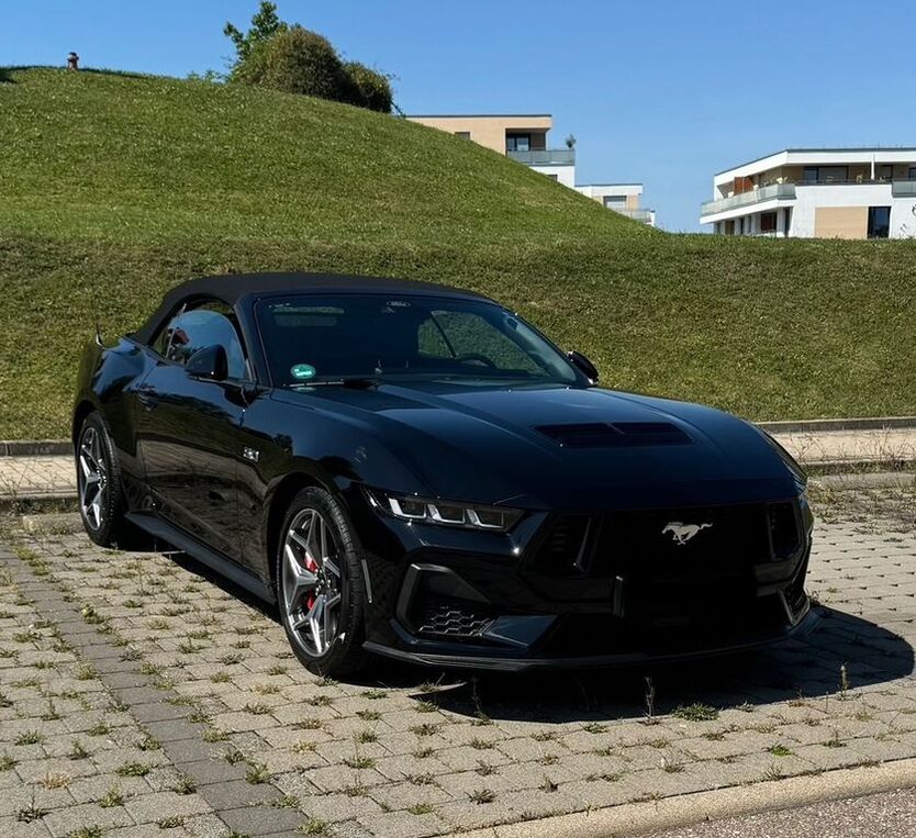 Mustang
