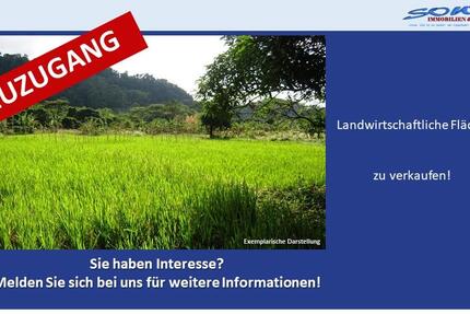 Großzügige Landwirtschaftsfläche oder Ausgleichsfläche zu verkaufen in Syrgenstein - Ein Objekt von SOWA Immobilien & Finanzen Ihrem Immobilienprofi vor Ort zimmer
