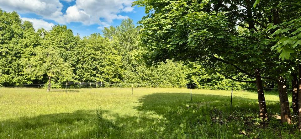 Bauernhaus, Landhaus Hoyerswerda - 6 Zimmer, 180 m&sup2;, 340.000&euro; | Angebot:26817428