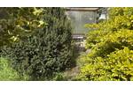 Einfamilienhaus Einbeck Kreiensen - 5 Zimmer, 105 m&sup2;, 149.000&euro; | Angebot:26644219