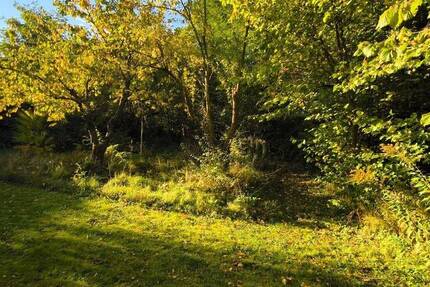 Grundstück Melchow - 310.000&euro; | Angebot:23824477