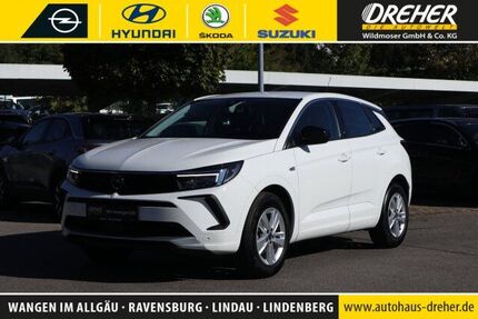 Opel Grandland (X) 24.525 km 22.590 &euro; Wangen 88239