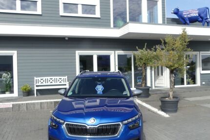 Skoda Kamiq 43.000 km 19.000 € Magdeburg 39108