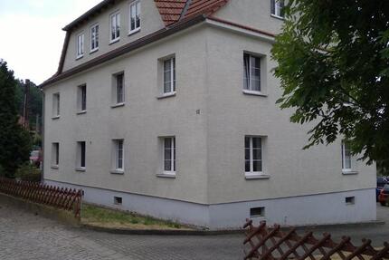 Wohnung Nünchritz - 2 Zimmer, 51 m&sup2;, 329&euro; | Angebot:22894556