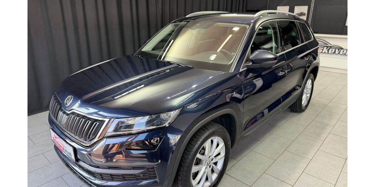 Skoda Kodiaq 195.000 km 20.500 &euro; Miesbach 83714