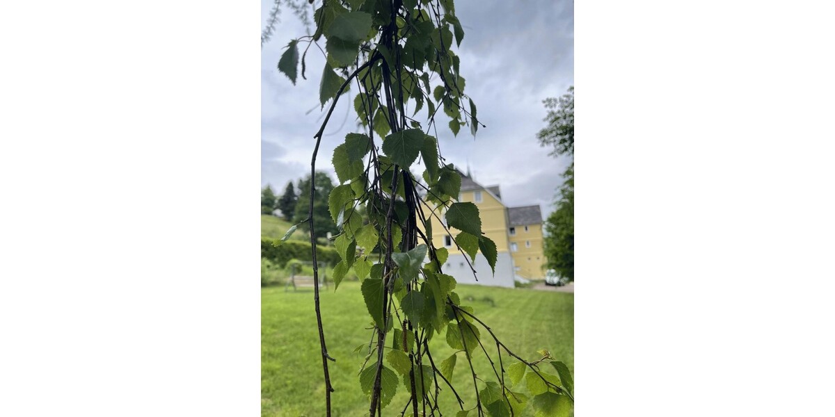 Hotel mit Tennisplatz Nähe Titisee zimmer