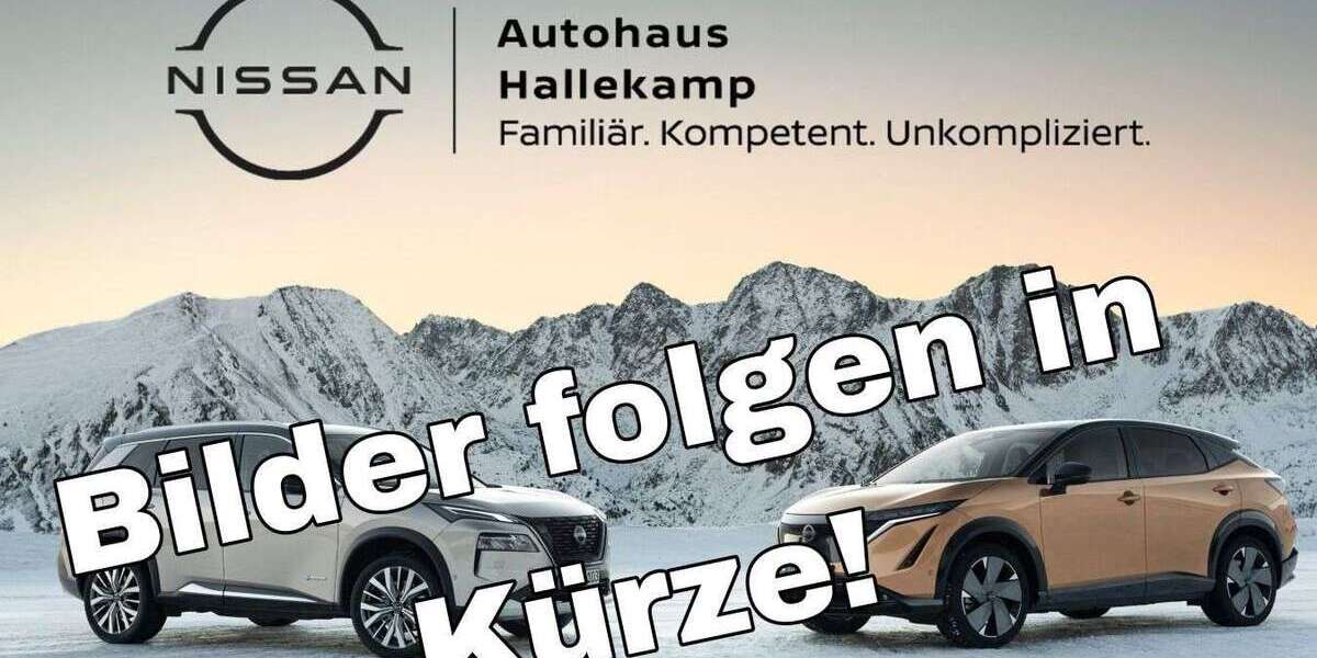 Nissan Leaf 40.000 km 17.900 &euro; Rosendahl-Holtwick 48720