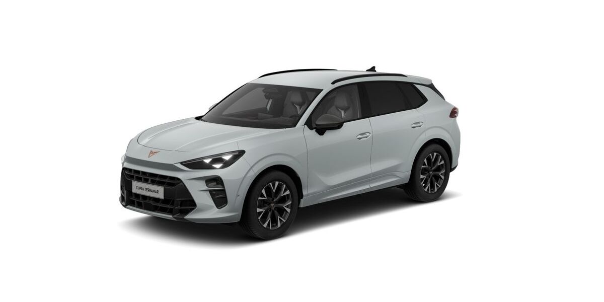 Cupra Terramar 23.584 km 32.790 &euro; Mainz-Kastell (Wiesbaden) 55252