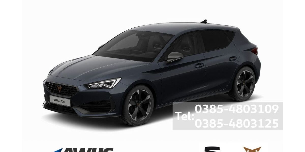 Cupra Leon 29.200 km 29.990 &euro; Schwerin 19057